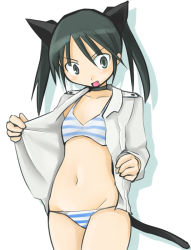 Rule 34 | 00s, 1girl, animal ears, bad id, bad pixiv id, black hair, cat ears, cat tail, fang, flat chest, francesca lucchini, navel, open mouth, panties, solo, strike witches, striped clothes, striped panties, tail, tanaka rikimaru, underwear, world witches series
