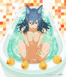 Rule 34 | 1girl, air bubble, animal ear fluff, animal ears, ao fujimori, bath, bathroom, bathtub, blue hair, blurry, breasts, brown eyes, bubble, collarbone, completely nude, dated, depth of field, dot nose, eyes visible through hair, fangs, hair between eyes, hair spread out, highres, indoors, knees up, large breasts, looking at viewer, medium hair, mouth under water, navel, nude, open mouth, original, partially submerged, rubber duck, signature, sitting, solo, steam, teeth, tile wall, tiles, tsurime, v-shaped eyebrows, v arms, water, wavy hair, wet, wet hair