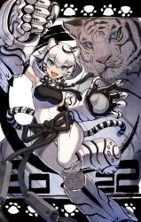 Rule 34 | 1girl, 2022, ahoge, animal ears, armor, armpits, bare shoulders, black hair, blue eyes, breasts, chinese zodiac, clawed gauntlets, commentary, dated, fang, hair between eyes, highres, hood, kuroi susumu, looking at viewer, medium breasts, multicolored hair, open mouth, original, paw print, short hair, skin fang, slit pupils, solo, streaked hair, tail, tiger, tiger ears, tiger girl, tiger tail, tongue, white hair, white tiger, year of the tiger