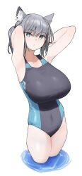 Rule 34 | 1girl, alternate breast size, animal ear fluff, animal ears, arms behind head, arms up, blue archive, breasts, closed mouth, competition swimsuit, cropped legs, grey hair, highres, huge breasts, looking at viewer, mismatched pupils, one-piece swimsuit, ponytail, shiroko (blue archive), shiroko (swimsuit) (blue archive), simple background, snorkel14, solo, swimsuit, water, white background