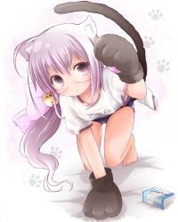 Rule 34 | 1girl, akino coto, animal ears, animal hands, bad id, bad pixiv id, barefoot, bell, blush, bow, cat ears, cat tail, feet, glasses, hair bell, hair bow, hair ornament, highres, jingle bell, long hair, looking at viewer, original, paw print, purple eyes, purple hair, solo, tail, toes