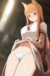 Rule 34 | 1girl, alternate breast size, animal ears, blush, breasts, brown hair, clothes lift, ginhaha, highres, holding, holding clothes, holding skirt, holo, long hair, looking at viewer, medium breasts, navel, panties, pouch, red eyes, self exposure, skirt, skirt lift, smile, solo, spice and wolf, tail, underwear, wolf ears, wolf girl, wolf tail