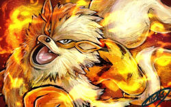 Rule 34 | arcanine, black eyes, bright pupils, commentary request, creatures (company), fangs, fire, game freak, gen 1 pokemon, kaosu (kaosu0905), looking at viewer, nintendo, no humans, open mouth, pokemon, pokemon (creature), signature, solo, tongue, white pupils