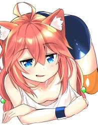 Rule 34 | 1girl, ahoge, all fours, animal ear fluff, animal ears, bike shorts, blue eyes, cat ears, collarbone, crossed arms, downblouse, flat chest, hair bobbles, hair ornament, hinata channel, long hair, looking at viewer, low twintails, nekomiya hinata, no bra, o shiba0819, orange thighhighs, pink hair, shorts, smile, solo, thighhighs, top-down bottom-up, twintails, vest, virtual youtuber, white vest, wristband