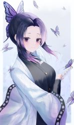 Rule 34 | 1girl, absurdres, bad id, bad pixiv id, black eyes, black hair, black jacket, border, bug, butterfly, butterfly hair ornament, closed mouth, doham, gradient hair, grey background, hair intakes, hair ornament, haori, highres, holding, holding sword, holding weapon, huge filesize, insect, jacket, japanese clothes, kimetsu no yaiba, kochou shinobu, long sleeves, looking at viewer, multicolored hair, purple hair, short hair with long locks, smile, solo, standing, sword, uniform, weapon, white border