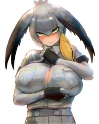 Rule 34 | 1girl, alternate breast size, arm under breasts, belt, bird wings, black gloves, blush, bodystocking, breast pocket, breasts, button gap, buttons, center opening, cleavage, closed mouth, collared shirt, commentary request, fingerless gloves, gloves, green eyes, grey hair, grey necktie, grey shirt, hair between eyes, hand up, head wings, highres, huge breasts, kemono friends, layered sleeves, long hair, long sleeves, looking at viewer, multicolored hair, necktie, neckwear lift, nose blush, paizuri invitation, partially unbuttoned, pocket, shibori kasu, shirt, shoebill (kemono friends), short over long sleeves, short sleeves, sidelocks, solo, wing collar, wings