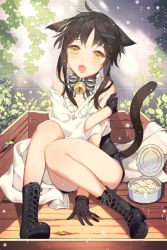 Rule 34 | 1girl, animal ears, bare shoulders, bell, black gloves, black hair, boots, bow, can, cat ears, cat tail, cross-laced footwear, fangs, gearous, gloves, lace-up boots, leaf, legs, open mouth, plant, short hair, sidelocks, sita vilosa, sitting, solo, striped, sword girls, tail, vines, yellow eyes