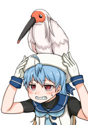Rule 34 | 1girl, animal, animal on head, bird, bird on head, blonde hair, blue hair, clenched teeth, commentary request, crested ibis, gloves, highres, kantai collection, multicolored hair, on head, red eyes, sado (kancolle), sailor collar, school uniform, serafuku, solo, sweatdrop, takasugi heppu, teeth, upper body, white gloves