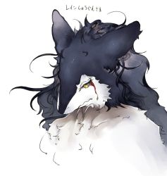 Rule 34 | androgynous, close-up, furry, gender request, multicolored hair, rain (sergal), rain silves, sergal, sindoll, solo, translation request, white background, yellow eyes
