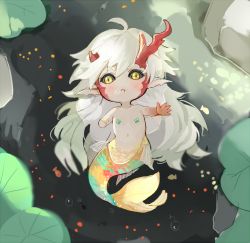 Rule 34 | 1boy, afloat, ahoge, air bubble, amputee, antlers, black sclera, blush, broken antler, bubble, chibi, colored sclera, colored skin, day, ecrsin, facial mark, fins, fish, horns, ibaraki douji (onmyoji), lily pad, long hair, looking at viewer, male focus, merman, monster boy, multicolored skin, nature, navel, nude, onmyoji, open mouth, partially submerged, pasties, pointy ears, pond, reaching, red skin, scales, solo, very long hair, water, white hair, yellow eyes