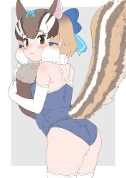 Rule 34 | 1girl, absurdres, acorn, animal ears, bare shoulders, brown eyes, brown hair, chipmunk ears, chipmunk girl, chipmunk tail, elbow gloves, extra ears, gloves, grey background, highres, kemono friends, kemono friends v project, kumasyan1998, looking at viewer, looking back, ribbon, scarf, short hair, siberian chipmunk (kemono friends), simple background, solo, swimsuit, tail, thighhighs, virtual youtuber