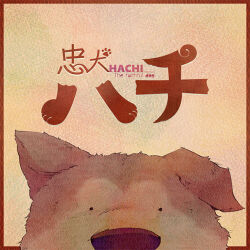 Rule 34 | akita inu, album cover, animal, animal ears, border, brown border, brown fur, brown theme, chuuken hachi (tuyu), commentary, cover, dated commentary, dog, dog ears, doromizu, hachikou (dog), light brown background, looking at viewer, no humans, official art, outside border, paper texture, simple background, snout, song name, tuyu (band), two-tone fur