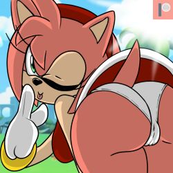 Rule 34 | 1girl, amy rose, ass, bare shoulders, bracelet, breasts, closed mouth, finger to mouth, from behind, furry, furry female, gloves, gluteal fold, green eyes, hairband, hedgehog ears, hedgehog girl, hedgehog tail, jewelry, looking at viewer, looking back, medium breasts, one eye closed, outdoors, p0k4chu, panties, pink hair, red hairband, red skirt, shushing, sideboob, skirt, sleeveless, smile, solo, sonic (series), tail, thighs, tongue, tongue out, underwear, upskirt, white gloves, white panties, wink