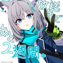 Rule 34 | 1girl, animal ear fluff, animal ears, black jacket, blazer, blue archive, blue eyes, blue halo, blue necktie, blue scarf, blush, cross hair ornament, extra ears, gloves, green gloves, grey hair, hair between eyes, hair ornament, halo, highres, jacket, long sleeves, looking at viewer, medium hair, mismatched pupils, mx2j, necktie, official art, open clothes, open jacket, parted lips, scarf, shiroko (blue archive), simple background, solo, upper body, white background, wolf ears