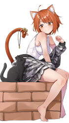 Rule 34 | 1girl, ahoge, animal ears, barefoot, bell, blush, breasts, camouflage, camouflage jacket, cat, cat ears, cat girl, cat tail, character request, copyright request, fang, highres, jacket, long sleeves, looking at another, medium breasts, orange eyes, orange hair, paw pose, shirt, short hair, simple background, sitting, skin fang, sleeveless, sleeveless shirt, solo, tail, tail bell, tail ornament, white background, white shirt, yuuzuki (re&#039;ef)