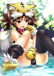 Rule 34 | &gt; &lt;, 1girl, animal hands, annoyed, bad id, bad pixiv id, black thighhighs, brown hair, closed eyes, collar, fang, gloves, koihime musou, nemo (piisukun), open mouth, paw gloves, red eyes, sitting, solo, thighhighs, tora (koihime musou), twintails, water