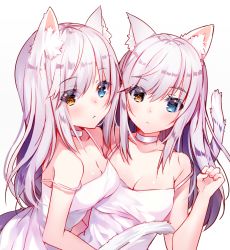 Rule 34 | 2girls, :3, animal ear fluff, animal ears, bare arms, bare shoulders, blue eyes, blush, breasts, brown eyes, cat ears, cat girl, cat tail, choker, cleavage, closed mouth, collarbone, commentary request, dress, hand up, heterochromia, highres, long hair, looking at viewer, medium breasts, multiple girls, original, siblings, silver hair, spaghetti strap, strap slip, tail, twins, upper body, usagihime, white choker, white dress