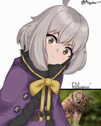Rule 34 | 1girl, ahoge, belt, borrowed character, breasts, brown belt, cape, commentary, dress, english commentary, fur-trimmed cape, fur trim, grey hair, hair between eyes, highres, looking at viewer, medium breasts, meiyoshima, mono (sifserf), multicolored hair, original, owl girl, purple cape, purple dress, reference inset, ribbon, simple background, solo, staring, twitter username, two-tone hair, white background, yellow eyes, yellow ribbon