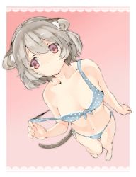 Rule 34 | 1girl, akagashi hagane, animal ears, bare shoulders, bikini, blue bikini, blush, breasts, cleavage, from above, front-tie bikini top, front-tie top, grey hair, medium breasts, mouse ears, mouse tail, nazrin, polka dot, polka dot bikini, polka dot swimsuit, red eyes, short hair, solo, strap pull, sweatdrop, swimsuit, tail, touhou