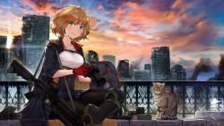 Rule 34 | 1girl, alphatitus, assault rifle, asymmetrical gloves, backpack, bag, belt, black gloves, black jacket, black pantyhose, blonde hair, blue skirt, breasts, building, camera, can, canned food, cat, cityscape, damaged, day, gloves, green eyes, gun, handgun, highres, holding, holding camera, jacket, knee pads, large breasts, magazine (weapon), miniskirt, original, outdoors, pantyhose, pistol, pleated skirt, red gloves, rifle, scope, short hair, sitting, skirt, sky, skyscraper, smoke, solo, uneven gloves, weapon