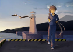 Rule 34 | 10s, 1girl, akebono (kancolle), bird, blue pants, blue shirt, blurry, clenched hands, cloud, cloudy sky, day, demitas, depth of field, heavy breathing, jacket, jogging, kantai collection, lighthouse, long hair, long sleeves, mountain, ocean, open mouth, pants, pier, purple hair, seagull, shirt, shoes, side ponytail, sky, sleeves pushed up, sneakers, solo, track jacket, track pants, track suit, very long hair, zipper
