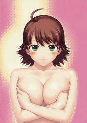 Rule 34 | 00s, awakened miki, blush, breast hold, breasts, brown hair, cleavage, covering privates, covering breasts, green eyes, highres, hoshii miki, idolmaster, idolmaster (classic), idolmaster 1, large breasts, nude, nude cover, short hair, solo, tanaka shoutarou