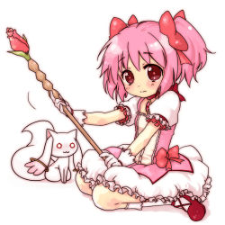Rule 34 | 10s, 1girl, :3, blush, bow, bubble skirt, choker, dress, flower, gem, gloves, glowing, glowing eyes, kaname madoka, kingyo, kyubey, magical girl, mahou shoujo madoka magica, mahou shoujo madoka magica (anime), pink hair, puffy sleeves, red eyes, red flower, red rose, ribbon, rose, shoes, short hair, short twintails, skirt, staff, twintails