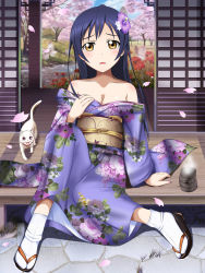 Rule 34 | 10s, 1girl, animal, bare shoulders, blue hair, breasts, brown eyes, bug, butterfly, cat, cherry blossoms, cleavage, edogawakid, feet, hair ornament, highres, insect, japanese clothes, long hair, looking at viewer, love live!, love live! school idol festival, love live! school idol project, off shoulder, small breasts, solo, sonoda umi, tabi, tea
