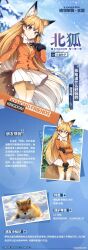 Rule 34 | 1girl, 1other, animal ears, artist request, black gloves, blue sky, blurry, blurry background, blush, bow, bowtie, brown/tail, character profile, chinese text, closed mouth, cloud, colored tips, expressionless, ezo red fox, ezo red fox (kemono friends), fading, formal, fox/tail, fox ears, fox girl, gloves, hand on own arm, hand on own chest, highres, kemono friends, kemono friends kingdom, leaf, leggings, long hair, looking at viewer, multicolored hair, necktie, official art, orange eyes, orange hair, orange necktie, orange suit, pale skin, pine tree, simplified chinese text, skirt, sky, snow, snowflakes, snowing, suit, tail, translation request, tree, white bow, white bowtie, white hair, white skirt