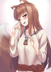 Rule 34 | 1girl, animal ears, brown hair, collarbone, holo, long hair, looking at viewer, pouch, red eyes, sengoku aky, solo, spice and wolf, tail, upper body, very long hair, wolf ears, wolf tail