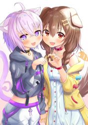 Rule 34 | 2girls, :3, :d, absurdres, animal collar, animal ear fluff, animal ears, blush, brown hair, cat ears, cat girl, cat tail, claw pose, collar, cowboy shot, dog ears, dog girl, dog tail, fang, hair between eyes, highres, holding hands, hololive, huge filesize, interlocked fingers, inugami korone, inugami korone (1st costume), kairono3jou, looking at viewer, multiple girls, nekomata okayu, nekomata okayu (1st costume), open mouth, paw pose, purple hair, simple background, smile, tail, virtual youtuber, white background