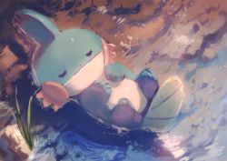 Rule 34 | afloat, bad id, bad pixiv id, closed mouth, commentary request, creatures (company), closed eyes, floating, from above, game freak, gen 3 pokemon, grass, lying, manino (mofuritaionaka), mudkip, nature, nintendo, no humans, on back, outdoors, pokemon, pokemon (creature), scenery, sleeping, solo, water