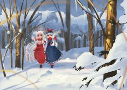 Rule 34 | 2girls, absurdres, bare tree, blue dress, blue hair, blue headwear, dress, forest, fujiwara no mokou, full body, highres, kamishirasawa keine, long hair, looking at viewer, multiple girls, nature, outdoors, pants, red eyes, red pants, red scarf, scarf, snow, solo, standing, suspenders, sweet reverie, touhou, tree, white hair