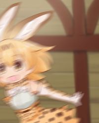 Rule 34 | 1girl, :d, animal ears, animal print, blonde hair, blurry, commentary, elbow gloves, gloves, hondarai, indoors, kemono friends, motion blur, open mouth, serval (kemono friends), short hair, smile, solo, yellow eyes