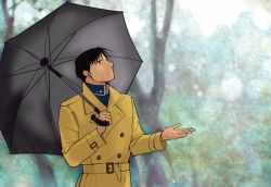Rule 34 | 1boy, belt, black eyes, black hair, blurry, blurry background, brown coat, coat, fullmetal alchemist, grey umbrella, looking up, male focus, military, military uniform, outstretched hand, roy mustang, serious, short hair, simple background, smile, solo, standing, tree, umbrella, uniform