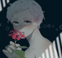 Rule 34 | 1boy, aqua eyes, bad id, bad pixiv id, blue eyes, blush, collarbone, commentary request, flower, from side, highres, holding, holding flower, light, looking at viewer, looking to the side, male focus, mau sakura, norman (yakusoku no neverland), parted lips, red flower, shaded face, shadow, simple background, smelling, solo, thick eyebrows, upper body, white hair, yakusoku no neverland