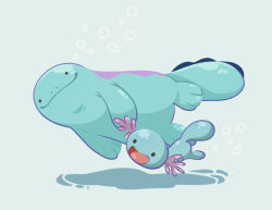 Rule 34 | air bubble, black eyes, bubble, closed mouth, commentary request, creatures (company), evolutionary line, game freak, gen 2 pokemon, highres, korean commentary, nintendo, no humans, open mouth, pokemon, pokemon (creature), quagsire, smile, swimming, tongue, underwater, wooper, yamaegom