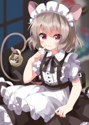Rule 34 | 1girl, alternate costume, animal, animal ears, apron, black dress, blush, buttons, closed mouth, dress, enmaided, frilled apron, frilled dress, frills, grey hair, hair between eyes, highres, maid, maid apron, maid headdress, mouse (animal), mouse ears, mouse tail, nazrin, puffy short sleeves, puffy sleeves, red eyes, ruu (tksymkw), short hair, short sleeves, smile, solo, tail, touhou, white apron
