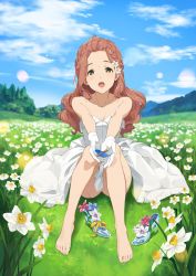 Rule 34 | 1girl, bangs pinned back, bare shoulders, barefoot, blue feather, blue feathers, brown hair, clothes between thighs, convenient skirt, dress, feathers, feet, flower, freckles, glass slipper, gloves, hair flower, hair ornament, hibike! euphonium, highres, jewelry, kamo kamen, kenzaki ririka, liz to aoi tori, long hair, meadow, necklace, open mouth, reed (instrument), smile, solo, strapless, strapless dress, toes, white dress, white gloves