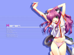 Rule 34 | 1girl, animal ears, arms up, cat ears, cat tail, dog ears, dog tail, green eyes, karen (artist), leg lift, long hair, midriff, navel, one eye closed, panties, pink panties, purple hair, red hair, see-through, shirt, solo, standing, striped clothes, striped panties, tail, thigh gap, thighs, underwear, wink