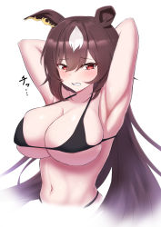 Rule 34 | 1girl, absurdres, animal ears, armpits, arms behind head, arms up, bad id, bad pixiv id, bikini, black bikini, blush, breasts, brown hair, cleavage, clenched teeth, collarbone, commentary request, cropped torso, halterneck, highres, horse ears, large breasts, long hair, looking at viewer, navel, partial commentary, red eyes, ririsu082, simple background, sirius symboli (umamusume), solo, stomach, swimsuit, teeth, translation request, umamusume, upper body, very long hair, white background