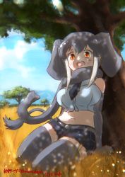Rule 34 | 1girl, :d, african elephant (kemono friends), animal ears, bare shoulders, black necktie, blouse, blue shirt, breasts, commentary, dated, day, denim, denim shorts, elbow gloves, elephant ears, elephant tail, extra ears, gloves, grass, grey gloves, grey hair, grey scarf, grey thighhighs, highres, kemono friends, kemono friends 3, large breasts, looking at viewer, midriff, nakashi masakumi, nature, navel, necktie, open mouth, orange eyes, outdoors, savannah, scarf, shirt, short hair, short shorts, shorts, sitting, sleeveless, sleeveless shirt, smile, solo, thighhighs, tree, tree shade, tusks, twitter username