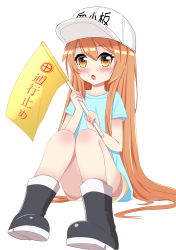 Rule 34 | 10s, 1girl, :o, black footwear, blue shirt, blush, boots, brown eyes, brown shorts, character name, clothes writing, commentary request, flag, flat cap, hair between eyes, hands up, hat, hataraku saibou, highres, holding, holding flag, lenxiao, light brown hair, long hair, looking at viewer, open mouth, pigeon-toed, platelet (hataraku saibou), shirt, short shorts, short sleeves, shorts, simple background, sitting, solo, very long hair, white background, white hat