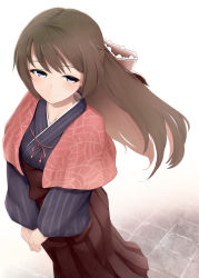 Rule 34 | 1girl, aqua eyes, artist name, artist request, blue eyes, blue kimono, blush, bow, breasts, brown bow, brown hair, brown hakama, capelet, female focus, floating hair, frilled bow, frills, hair between eyes, hair bow, hakama, hakama skirt, half-closed eyes, half updo, highres, japanese clothes, kimono, layered skirt, long hair, long sleeves, looking at viewer, love live!, love live! nijigasaki high school idol club, love live! school idol festival, osaka shizuku, parted lips, pink capelet, pink ribbon, ponytail, red bow, red ribbon, ribbon, skirt, small breasts, smile, solo, striped clothes, striped kimono, vertical-striped clothes, vertical-striped kimono, wavy hair, white background, wide sleeves