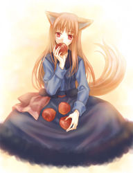 Rule 34 | 00s, 1girl, animal ears, apple, food, fruit, holding, holding food, holding fruit, holo, maroko, solo, spice and wolf, tail, wolf ears, wolf tail