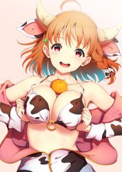 Rule 34 | 1girl, :d, ahoge, amagi (volfuji), animal ears, animal print, bare shoulders, bikini, braid, breasts squeezed together, breasts, cleavage, collarbone, cow ears, cow horns, cow print, food, food on body, food on breasts, fruit, hair ornament, hairpin, highres, horns, jacket, large breasts, long sleeves, looking at viewer, love live!, love live! sunshine!!, o-ring, o-ring bikini, object on breast, off shoulder, open mouth, orange (fruit), orange hair, red eyes, short hair, simple background, smile, solo, swimsuit, takami chika, unzipped, upper body