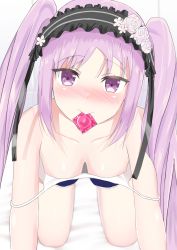 Rule 34 | ancient greek clothes, euryale (fate), fate/grand order, fate (series), greco-roman clothes, highres, purple eyes, purple hair, twintails