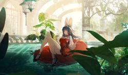 Rule 34 | 1girl, absurdres, afloat, animal ear fluff, animal ears, architecture, black footwear, black hair, bracelet, braid, clenched hands, commentary, dress, hair ribbon, hands up, high collar, highres, innertube, jewelry, knees up, kurikabacha, lamp, long hair, original, plant, pool, potted plant, rabbit ears, red dress, red eyes, ribbon, single braid, sitting, solo, swim ring, symbol-only commentary, table, vines, water, window