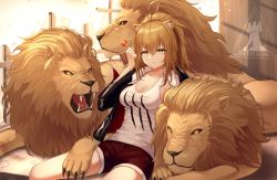 Rule 34 | 1girl, animal, animal ear fluff, animal ears, arknights, black jacket, breasts, brown eyes, brown hair, brown shorts, candy, cleavage, commentary, food, hair between eyes, hand up, holding, holding food, indoors, jacket, lion, lion ears, lollipop, long hair, looking at viewer, medium breasts, myung yi, open clothes, open jacket, rhodes island logo (arknights), short shorts, shorts, siege (arknights), sitting, tank top, thighs, white tank top