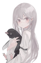 Rule 34 | 1girl, animal, animal hug, bird, brown eyes, collared shirt, commentary, ear piercing, earrings, eyebrows hidden by hair, from side, grey hair, hair between eyes, jewelry, long hair, looking at viewer, looking to the side, ogami ren, original, penguin, piercing, shirt, simple background, solo, symbol-only commentary, upper body, white background, white shirt